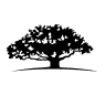 AUSE logo