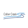 CCH.WS logo