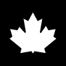 NGC logo