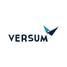 VSM logo